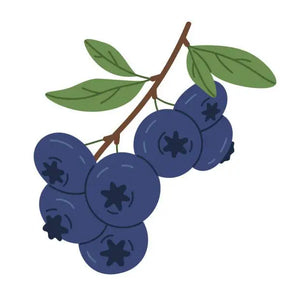 Killa Nicotine Pouches | Original 16.5mg - Discount Vapes