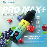 Hayati Pro Max Plus 6000+ | 5 PACK - Discount Vapes